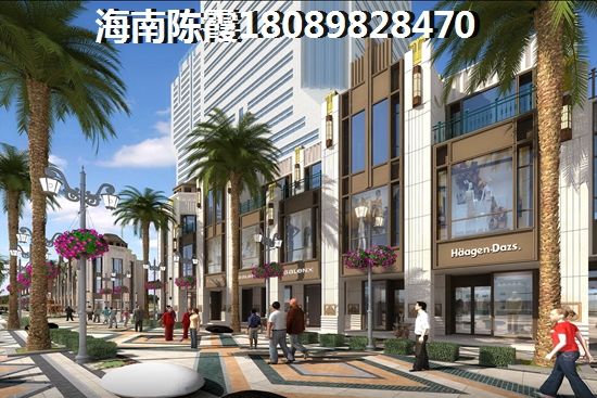 海南自贸区小户型的优势和劣势！海南小户型可以买吗？
